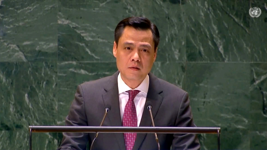 Vietnam persistently calls for peaceful solution to conflict in Ukraine